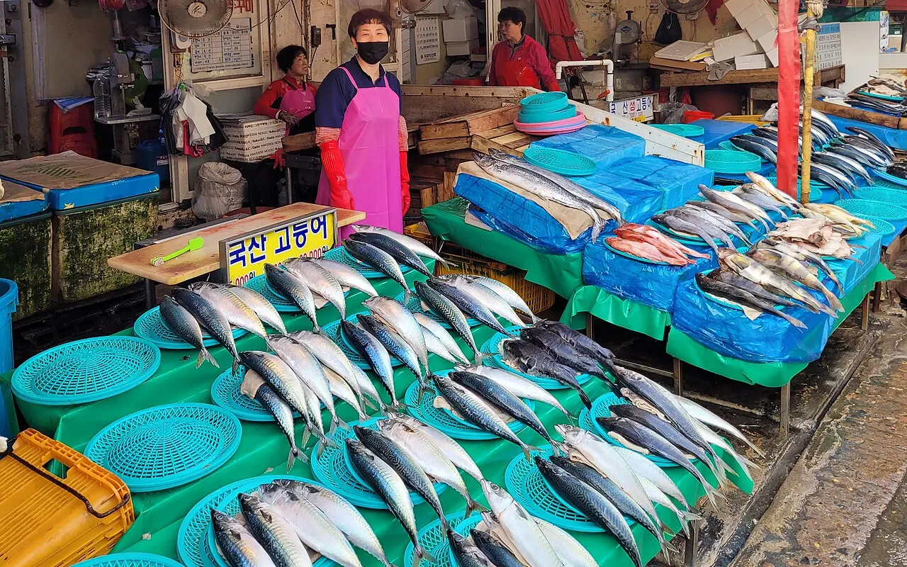 Fresh fish on display at Jagalchi Market, Busan