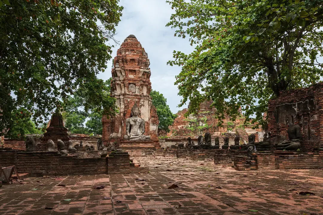 Prang and Buddha images at Wat Mahathat, Ayutthaya