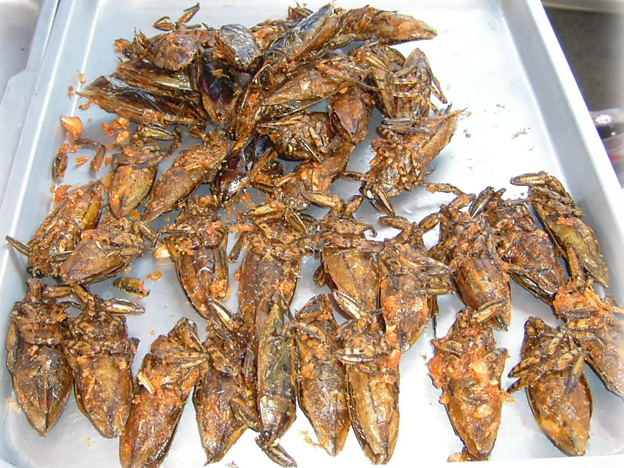 Fried giant water bugs (maeng da) on a tray in Thailand