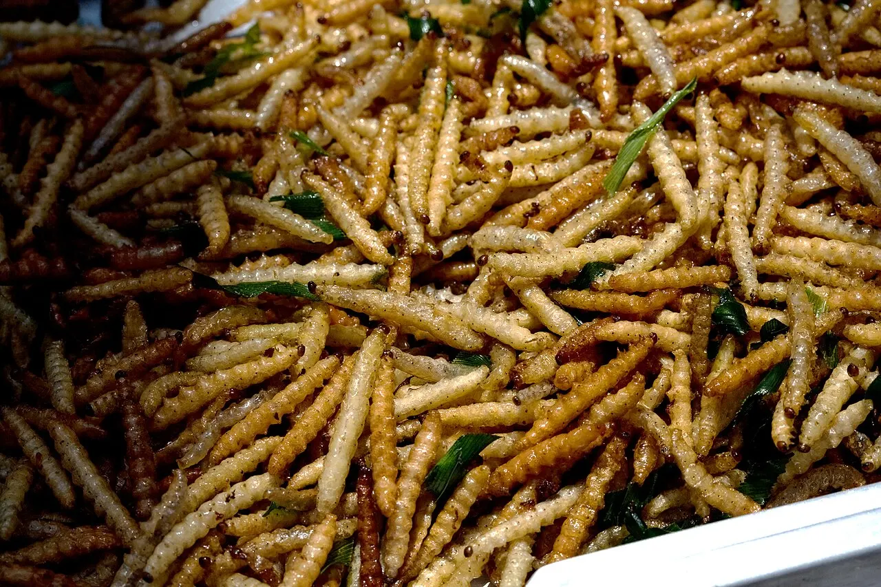 A tray of fried bamboo worms (rot duan) in Thailand