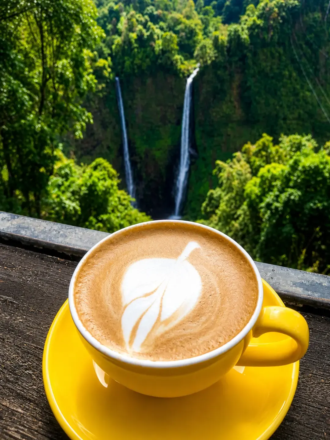A cup of Lao coffee with a Bolaven Plateau waterfall behind