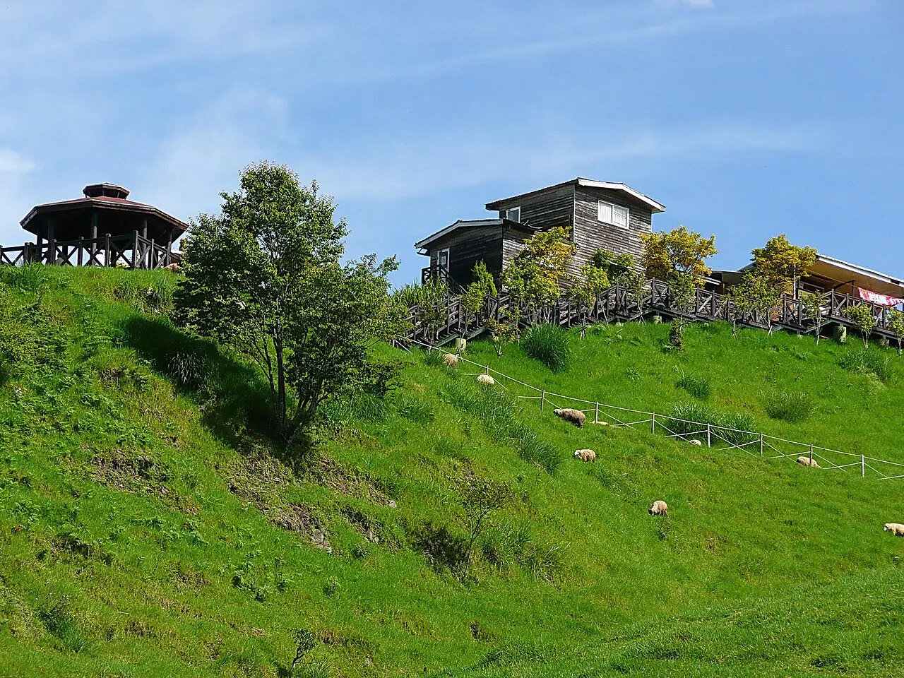 Green Green Grassland at Cingjing Farm