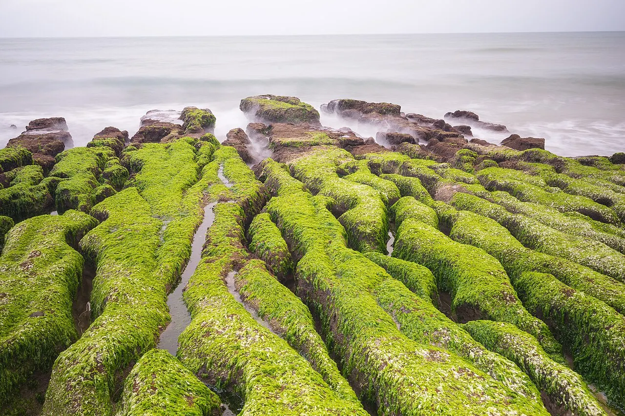 Laomei Green Reef at low tide