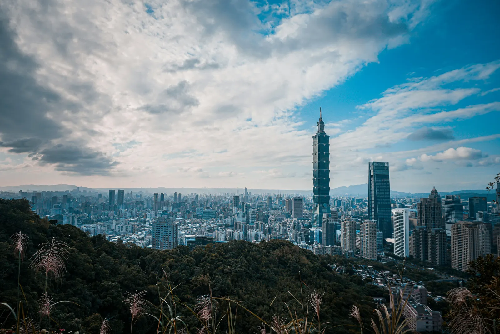 city skyline under blue sky and white clouds during daytime, Taipei 101