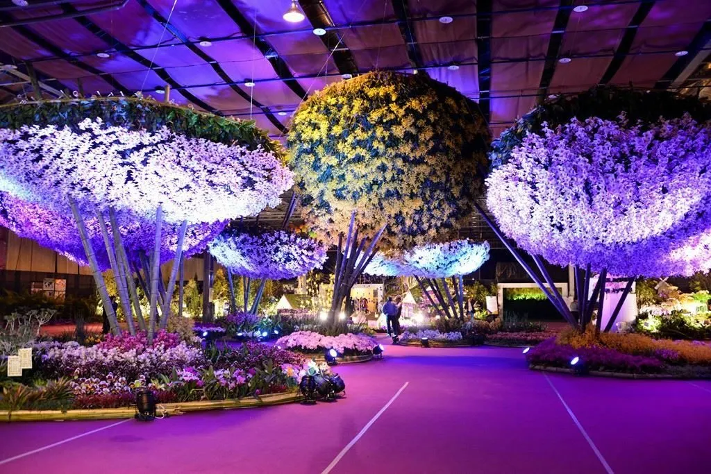 Orchids at the Taiwan International Orchid Show, Tainan