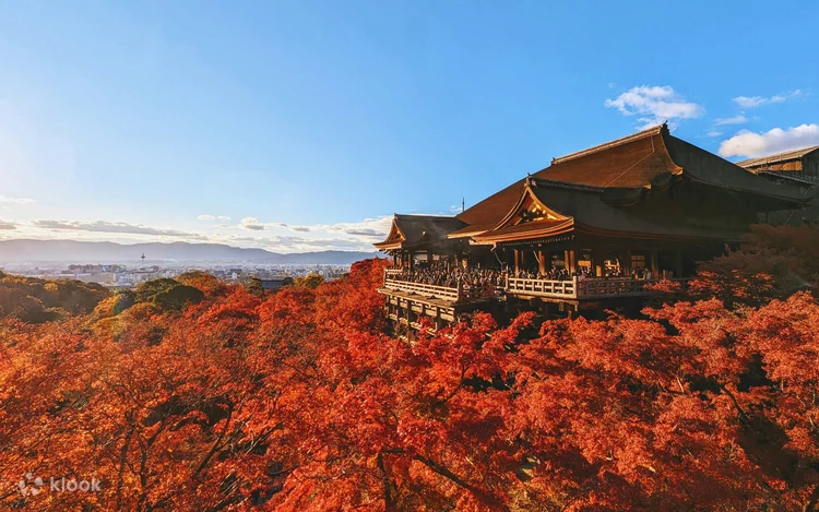 178017 京都永恆一日遊 - 探索寺廟與傳統文化（湊團）