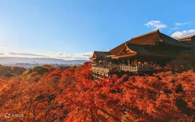 京都永恆一日遊 - 探索寺廟與傳統文化（湊團）