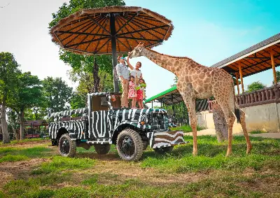 Giraffe & Wildlife Encounter + Thai Culture Tour