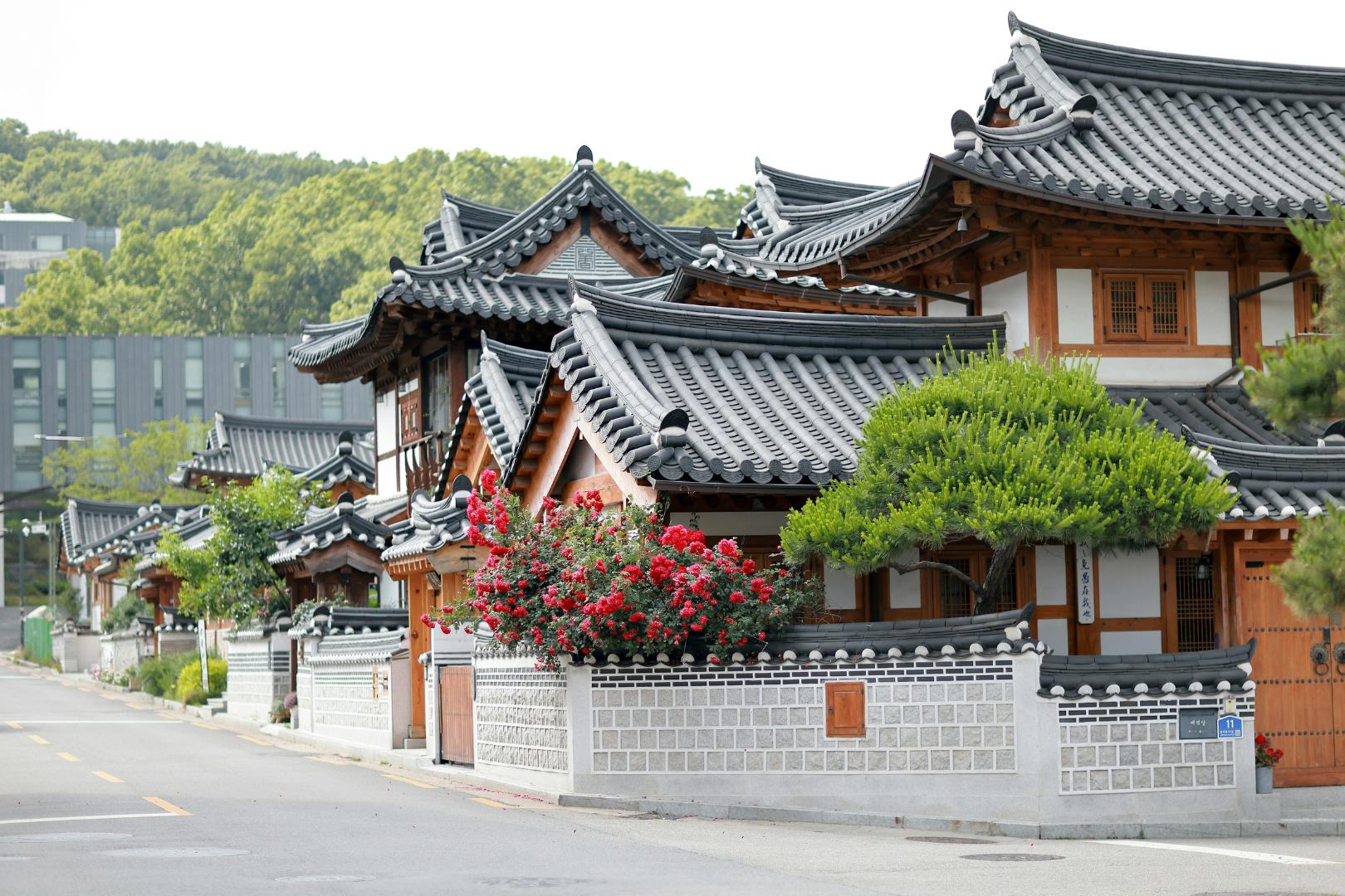 Seoul | Bukchon village walking Tour