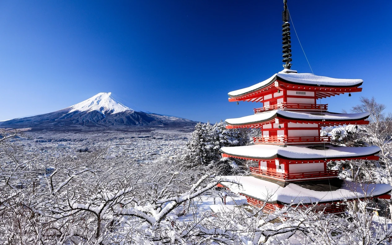 Mt. Fuji 5th Station, Lake Kawaguchi & Oshino Hakkai Private Tour