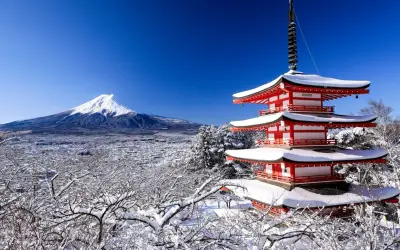 Mt. Fuji 5th Station, Lake Kawaguchi & Oshino Hakkai Private Tour