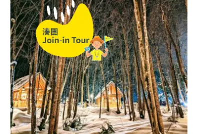 Asahiyama Zoo, Shirahige Falls, Blue Pond, & Ningle Terrace Car Tour (Join-in Tour)