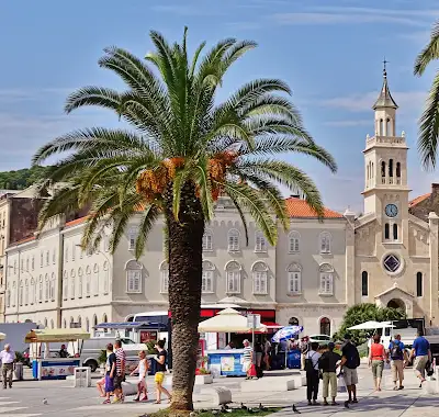 Split : History Walking Tour of the Old Town Tour With Free eSIM