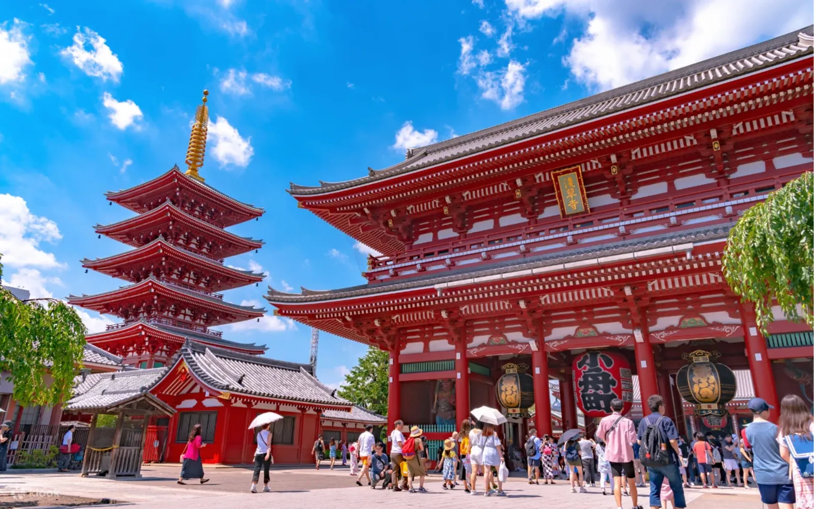 128066 東京市內，淺草寺，今戶神社和秋葉神社御朱印半日遊（下午一點出發）