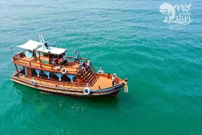 Bryde's Whale Watching | Samut sakhon (Seasonal)
