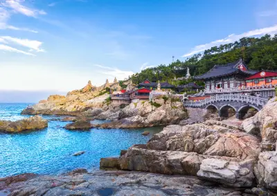 Busan 9-Hour Customized Private Tour