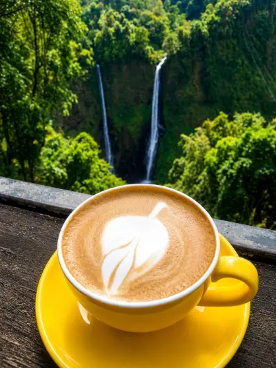 Pakse: Bolaven Plateau Coffee & Waterfalls