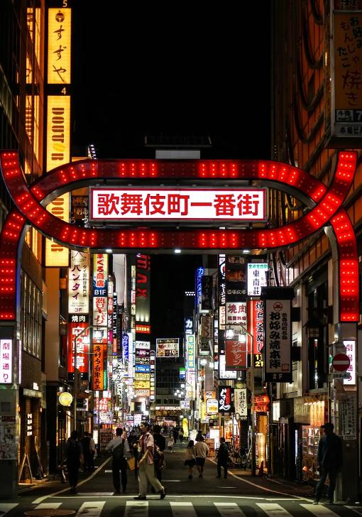 Tokyo City, Shinjuku Nightlife Walking Tour