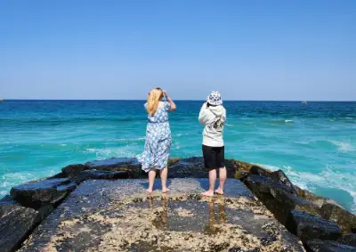 Gangneung Highlights | BTS Filming Locations + Daegwallyeong Sheep Farm