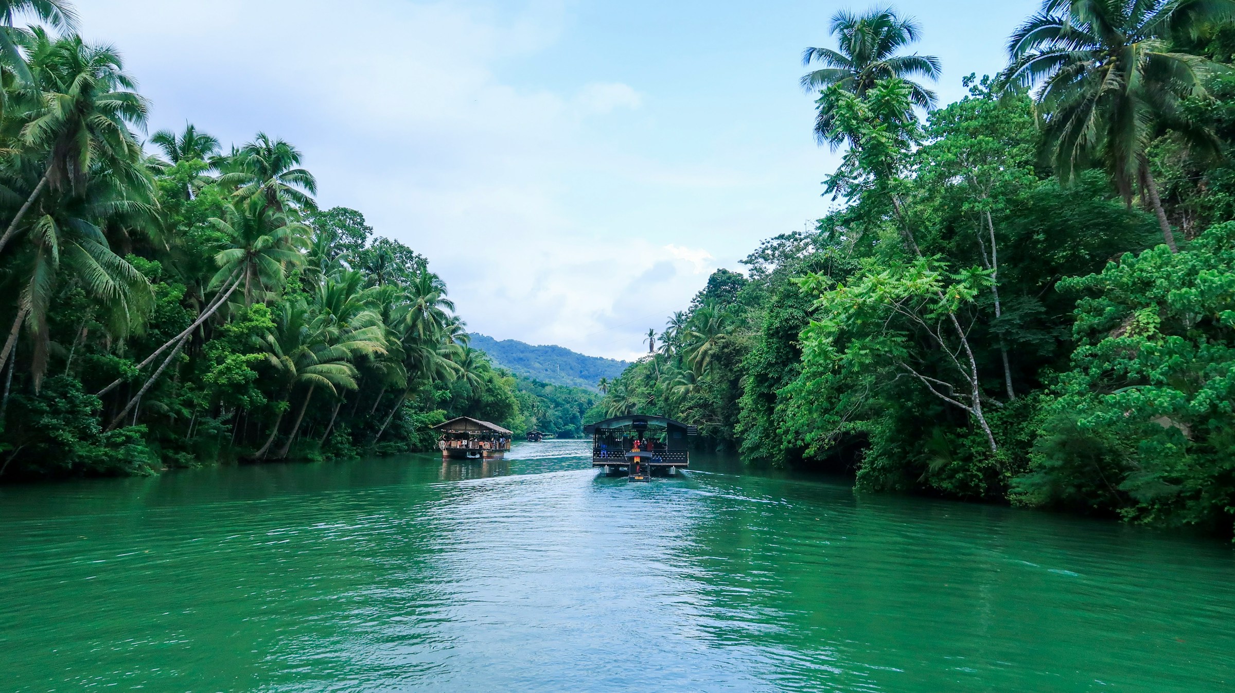 Bohol Heritage & Nature Tour