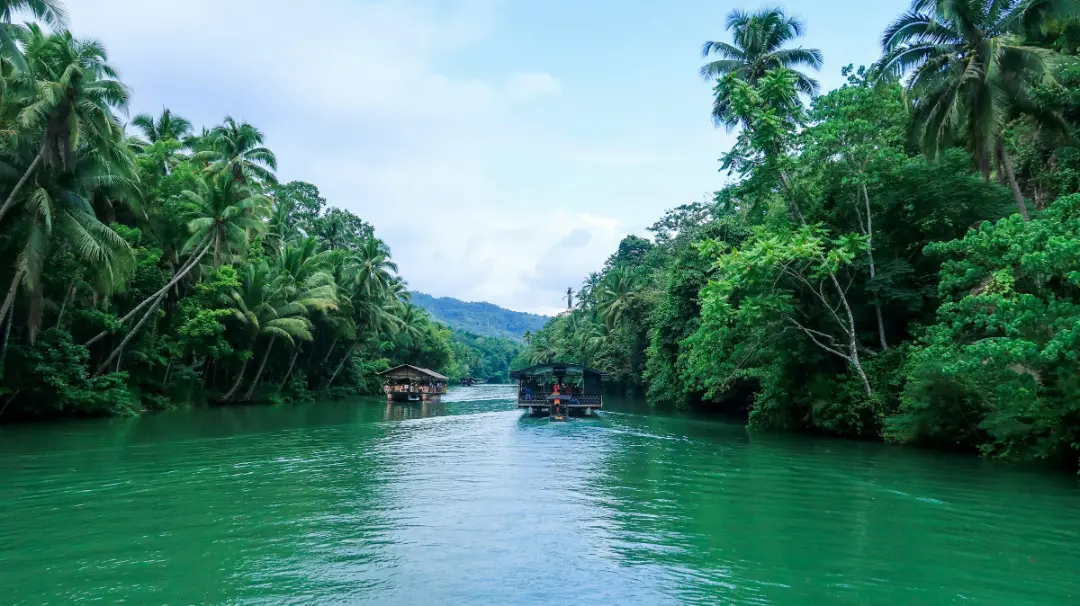 Bohol Heritage & Nature Tour