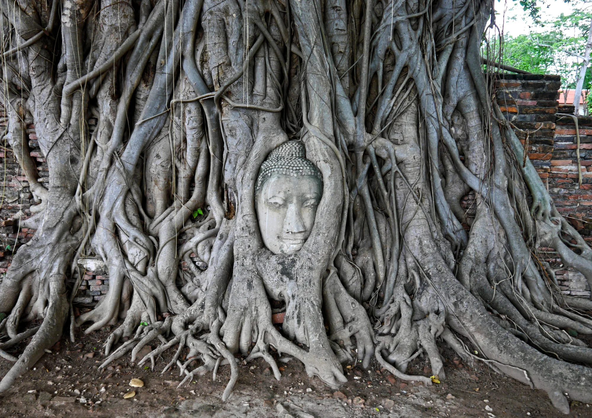 Ayutthaya Temples and Bang Pa-In Royal Palace