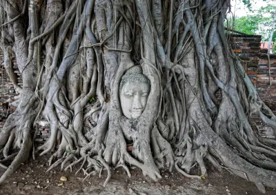 Ayuthaya Must Visit Temples Tour